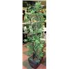 Image 1 : LARGE ARTIFICIAL FLOOR PLANT
