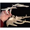 Image 2 : BONE/ANTLER SCULPTURE OF BIRDS OVER A POND *DAMAGED*