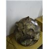Image 2 : Puffer Fish Décor