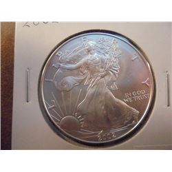 2002 AMERICAN SILVER EAGLE UNC