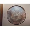Image 2 : 2002 AMERICAN SILVER EAGLE UNC