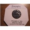Image 2 : 276-282 A.D. PROCOPIUS ANCIENT COIN VERY FINE
