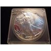 Image 1 : 1987 AMERICAN SILVER EAGLE UNC