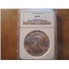 Image 1 : 1987 AMERICAN SILVER EAGLE NGC MS69