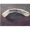 Image 1 : CIRCA 600-500 B.C. INDIA GANDHARA SHATAMANA FIRST STRUCK COINS OF INDIA