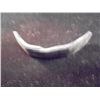 Image 2 : CIRCA 600-500 B.C. INDIA GANDHARA SHATAMANA FIRST STRUCK COINS OF INDIA
