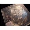 Image 2 : 1989 AMERICAN SILVER EAGLE UNC