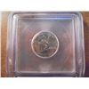 Image 2 : 2005-P BISON NICKEL ICG SP69 SATIN FINISH