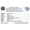 Image 2 : 8.14ctw Triangle Aquamarine Parcel