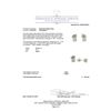 Image 3 : 1.39ctw Diamond Stud Earrings - 14KT White Gold