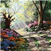Image 2 : Rays of Sunshine by  Anatoly Metlan