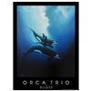 Image 1 : Orca Trio by Wyland