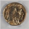 Image 2 : 1936-D BUFFALO NICKEL PCGS MS-65