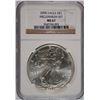 Image 1 : 2000 SILVER AMERICAN EAGLE NGC MS-67 (MILLENNIUM SET)