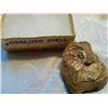 Image 1 : FOSSILIZED SHELL