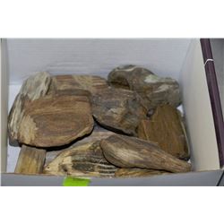 BOX OF ASSORTED PETRIFIED WOOD