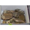 Image 1 : BOX OF ASSORTED PETRIFIED WOOD