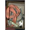 Image 1 : BOX W/DUAL STRAP SAFETY LANYARD AND