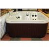 Image 5 : WHITE 80" HOT TUB W/ COVER