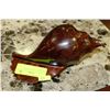 Image 1 : BRAZILLIAN HAND CARVED SEASHELL