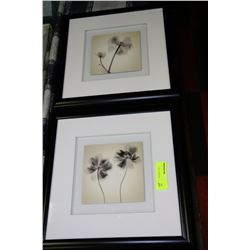 PAIR OF BLACK FRAME FLORAL PICTURES