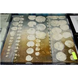 SHOWHOME ABSRACT CANVAS PICTURE