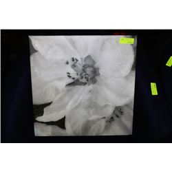 FLORAL FRAMED CANVAS PICTURE