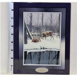 WOODLAND ENCOUNTERS COLLECTOR WALL PLAQUE