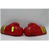 Image 1 : EVERLAST BOXING GLOVES