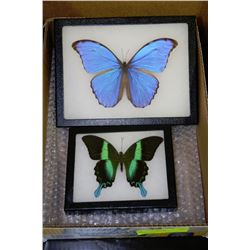 BOX W/ A SET OF 2 WALL MOUNTABLE