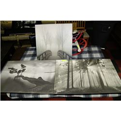 SET OF 3 NATURE SCENE CANVAS PICTURES