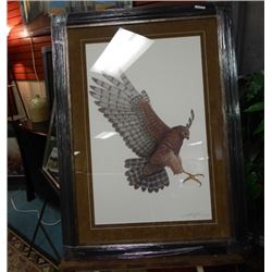 FRAMED LIMITED EDITION PRINT - RED TAILED HAWK - LUKE RAFFIN - GALLERY ESTIMATE - $875
