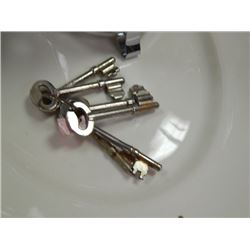 ASSORTED SKELETON KEYS
