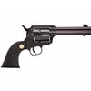 Image 1 : *NEW* CHIAPPA FIREARMS 1873-22 SINGLE-ACTION REVOLVER 22 LR 8053670712102