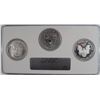 Image 2 : 2006 3-PIECE 20th ANNIV AMERICAN SILVER EAGLE SET, NGC MS69, PF69 & PF60 ULTRA