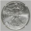 Image 2 : 2003 AMERICAN SILVER EAGLE NGC MS69