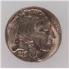 Image 2 : 1938 D/D BUFFALO NICKEL ICG MS66 - STUNNING COIN!
