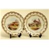 Image 1 : A set of twelve Royal Worcester Vitreous Porcelain Plates, date code for 1901, some signed Johnso...