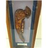 Image 2 : Jaw Bone War Club Display