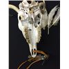 Image 4 : Decorative Deer Head Skull