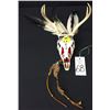 Image 5 : Decorative Deer Head Skull