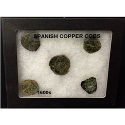 Antique Spanish Coins Display
