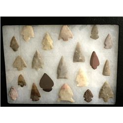 Group of 20 Arrowheads in Shadowbox.