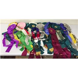 Horse Show Ribbons Lot