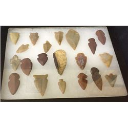 Group of 20 Arrowheads in Shadowbox.