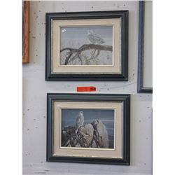 2 Framed prints of owls