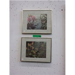 Pair of Robert Bateman bird prints