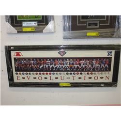 1994 NFL framed poster