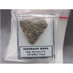 150 Million Year Old Dinosaur Bone