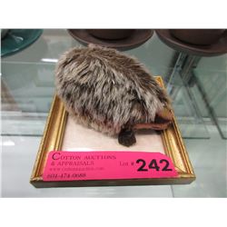 Steiff Hedgehog - Has button